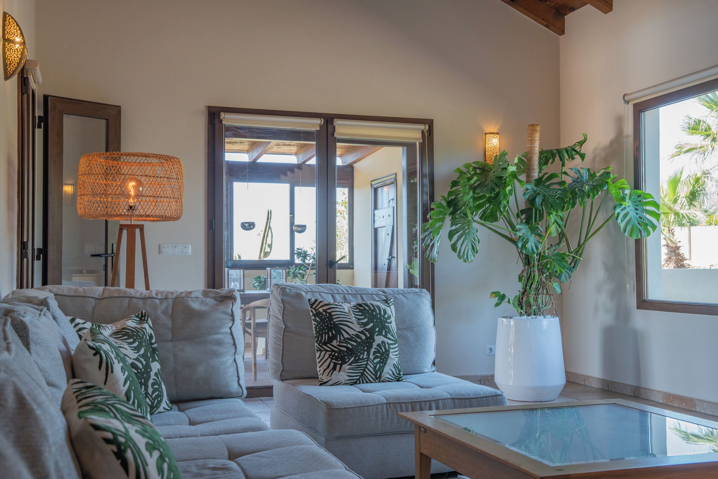 Een moderne woonkamer met een zithoek, een grote potplant en een glazen salontafel.