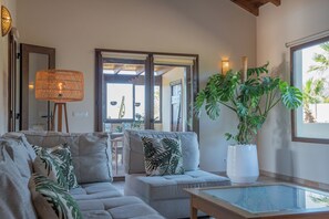 Smart TV, chimenea, reproductor de DVD, libros