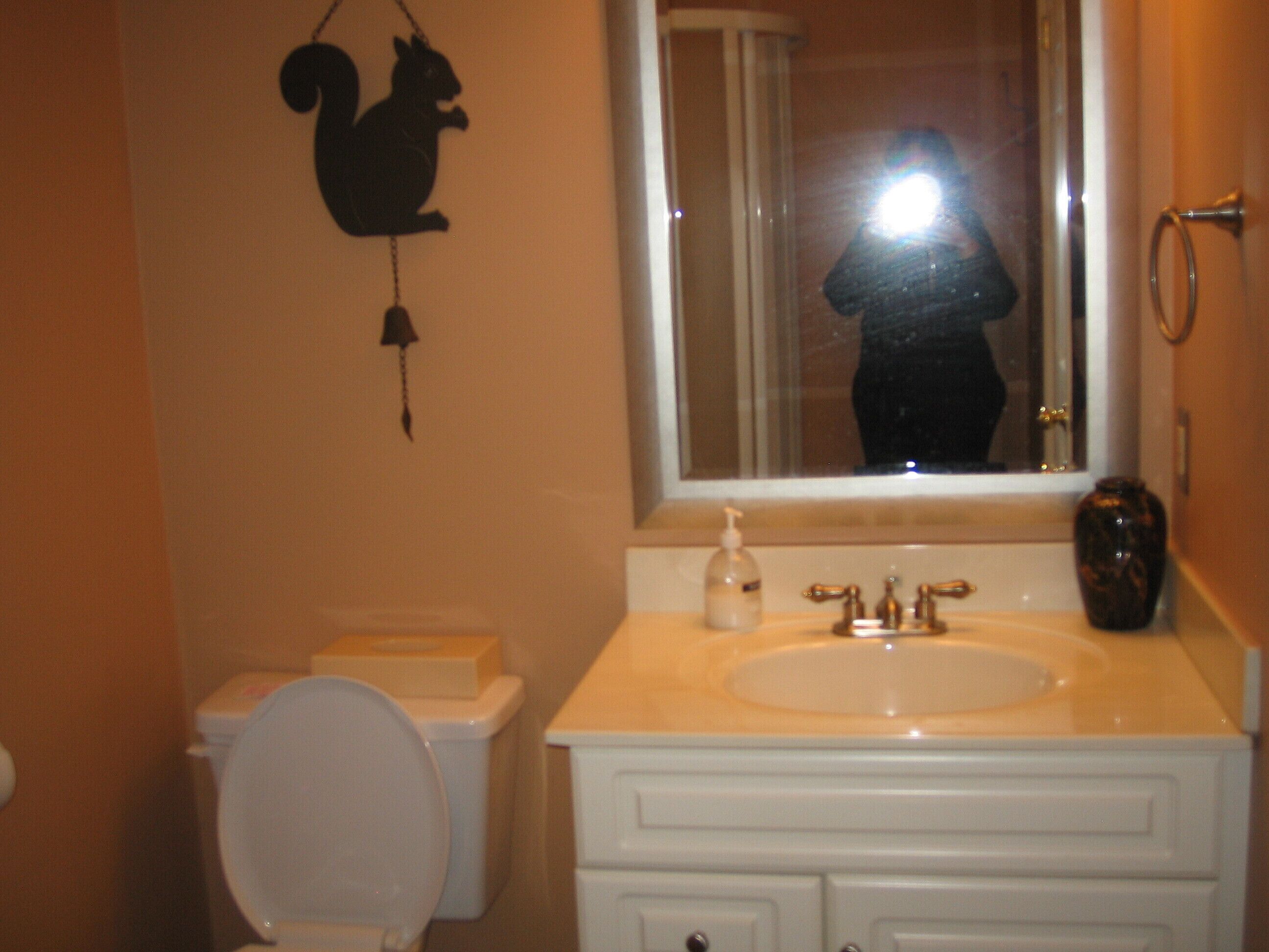 Lake Front Cottage  3 reno baths/4 bedrooms on Pine Lake, Gravenhurst