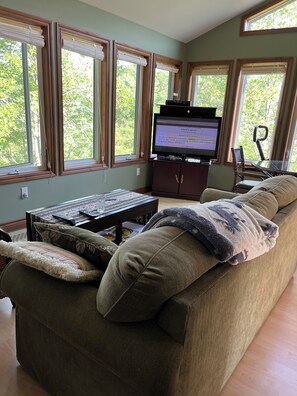 TV, fireplace, books