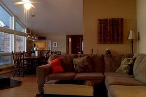 TV, fireplace, books