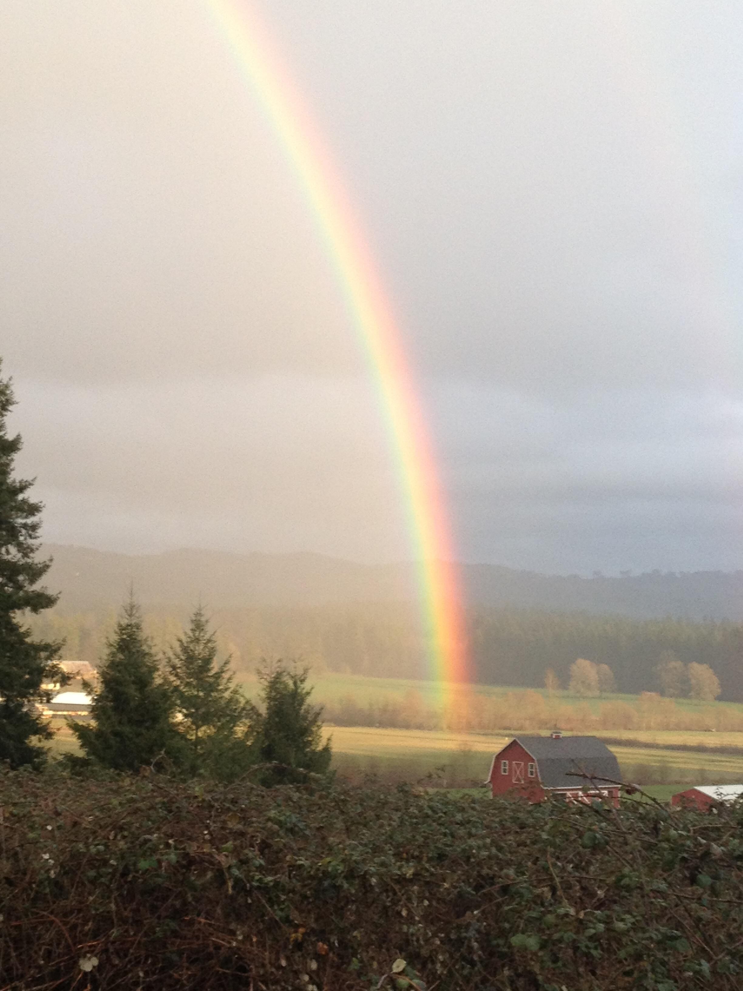Private cabin overlooking a valley, pastures, and forrests