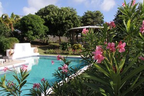 Une piscine dotée d’un espace détente abrité, entourée d’une végétation luxuriante et de plantes en fleurs.