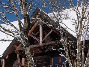 Exterior detail - Résidence le bois de la reine - Studio 4/6 persons with terrace (Besse-Et-Saint-Anastaise)