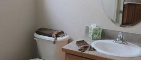 A bathroom with a toilet, sink, and mirror.