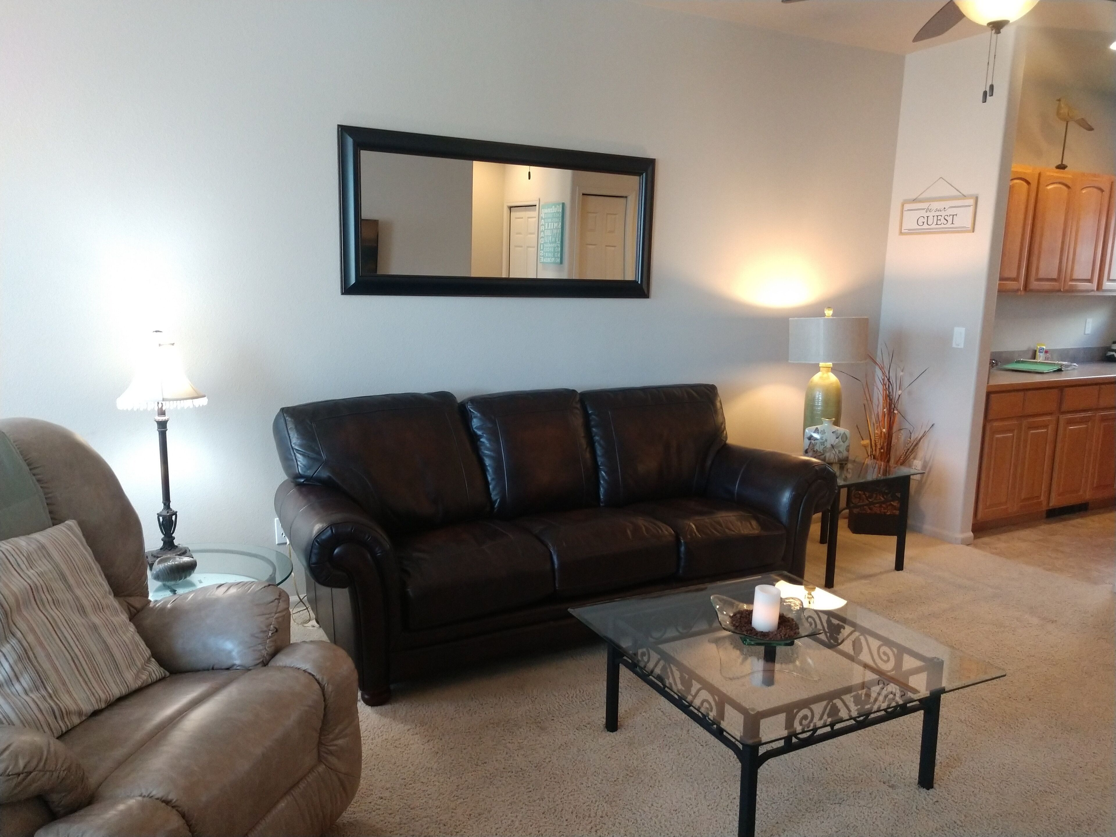 Smart TV, fireplace, DVD player, video library