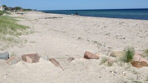 En sandstrand med spridda stenar och gles växtlighet.