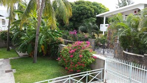 Un exuberante jardín con diversas plantas tropicales y una cerca blanca.