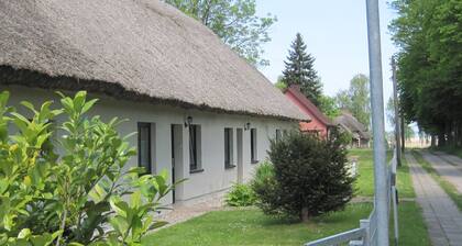 Vacation under the thatched roof on the backwater opposite the island of Usedom