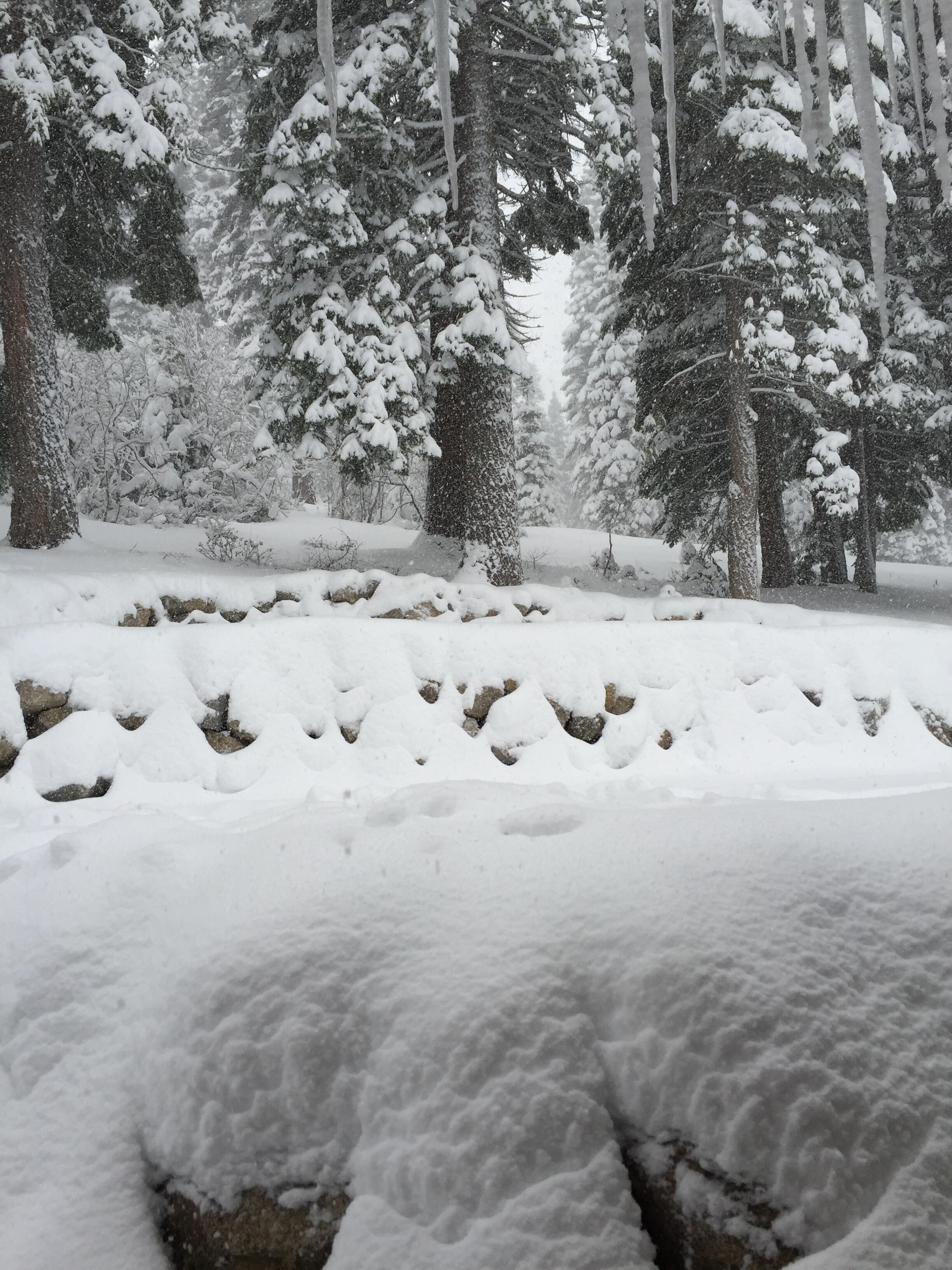 December snowfall outside the back deck.