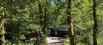 KINGLAS is a charming cabin in a lovely, peaceful location deep in the forest