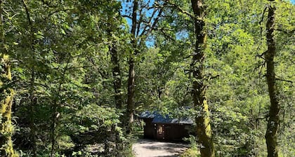 KINGLAS es una cabaña encantadora en un precioso, tranquila ubicación profunda en el bosque