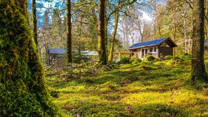 A rustic cabin in a forested area with a wooden deck and a blue roof. - KINGLAS CABIN is in a lovely, peaceful location deep in the forest, with hot tub (Dalavich)
