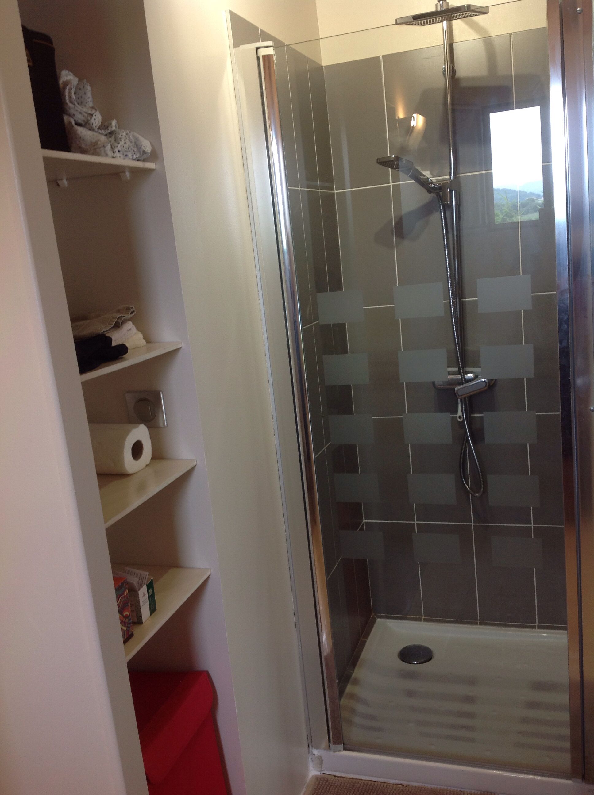 Regadera, secadora de cabello, toallas, papel de baño 