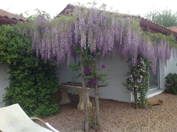 Áreas de la propiedad