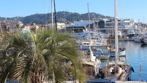 A marina with multiple boats docked, a hill with buildings in the background, and a palm tree in the foreground. - CANNES CENTER, IDEAL CONGRESS, HOLIDAYS, MODERN APARTMENT FACING THE OLD PORT (Cannes)
