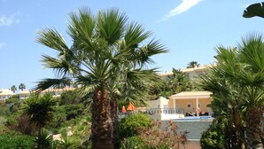 Un jardín exuberante con palmeras y una piscina al fondo.