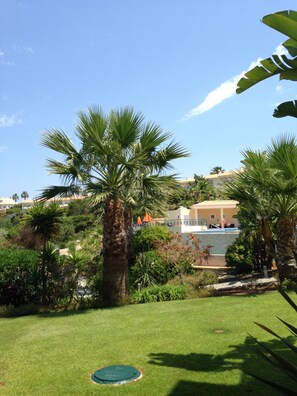 Property grounds - Luxury house near the sea with swimming pool, hammam, jacuzzi, gymnasium, playground. (Carvoeiro)