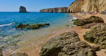 Luxury house near the sea with swimming pool, hammam, jacuzzi, gymnasium, playground.