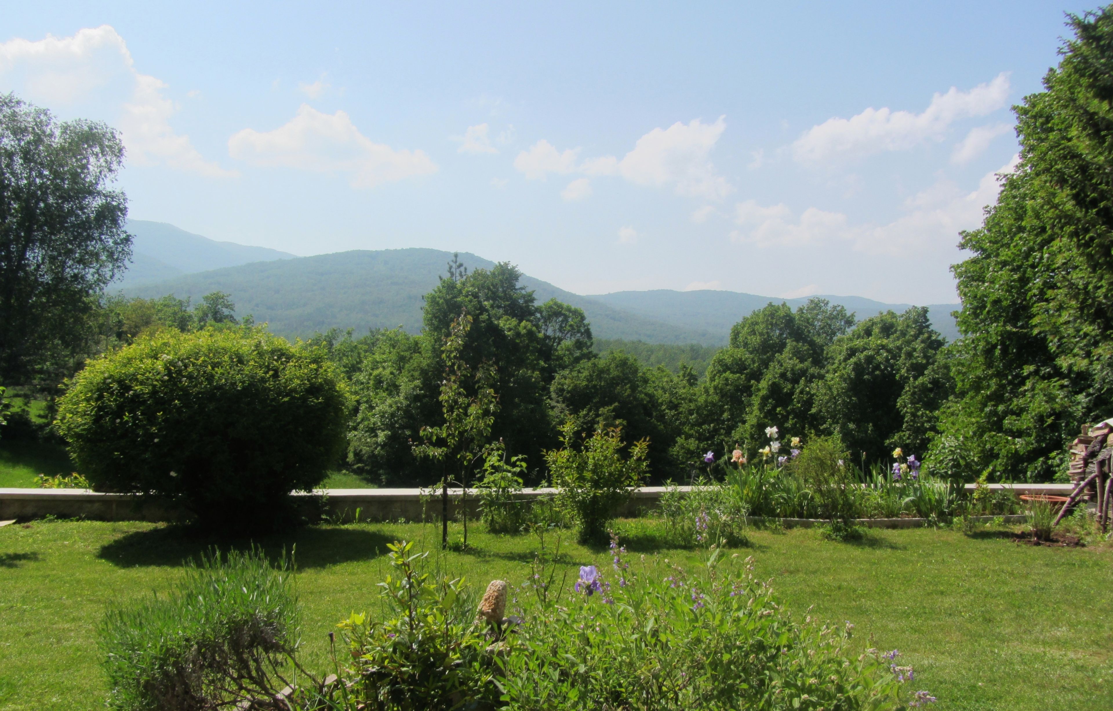 Ein Garten mit verschiedenen Pflanzen und Blumen, eine Steinmauer und eine Aussicht auf ferne Berge.