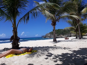 Una playa con palmeras, cielo azul despejado y el océano.