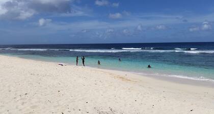 Small charming house seaside in authentic setting 2 to 5 pers.