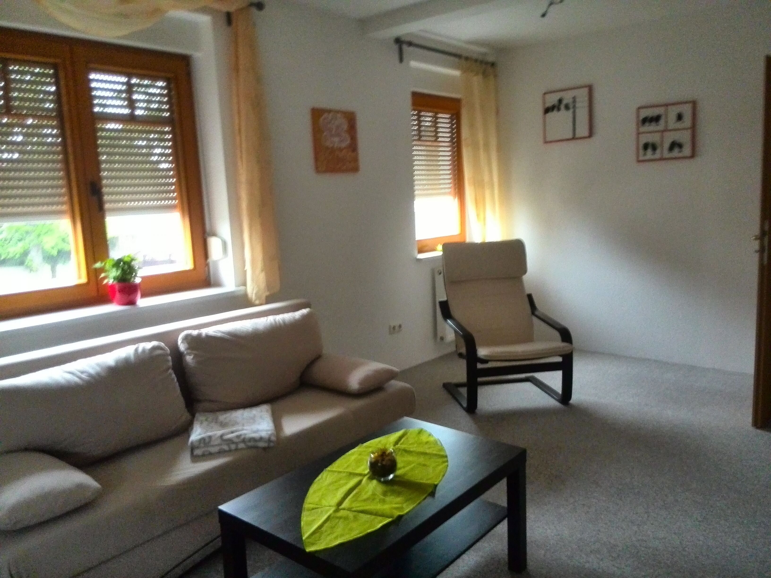 スマートテレビ、DVD プレーヤー