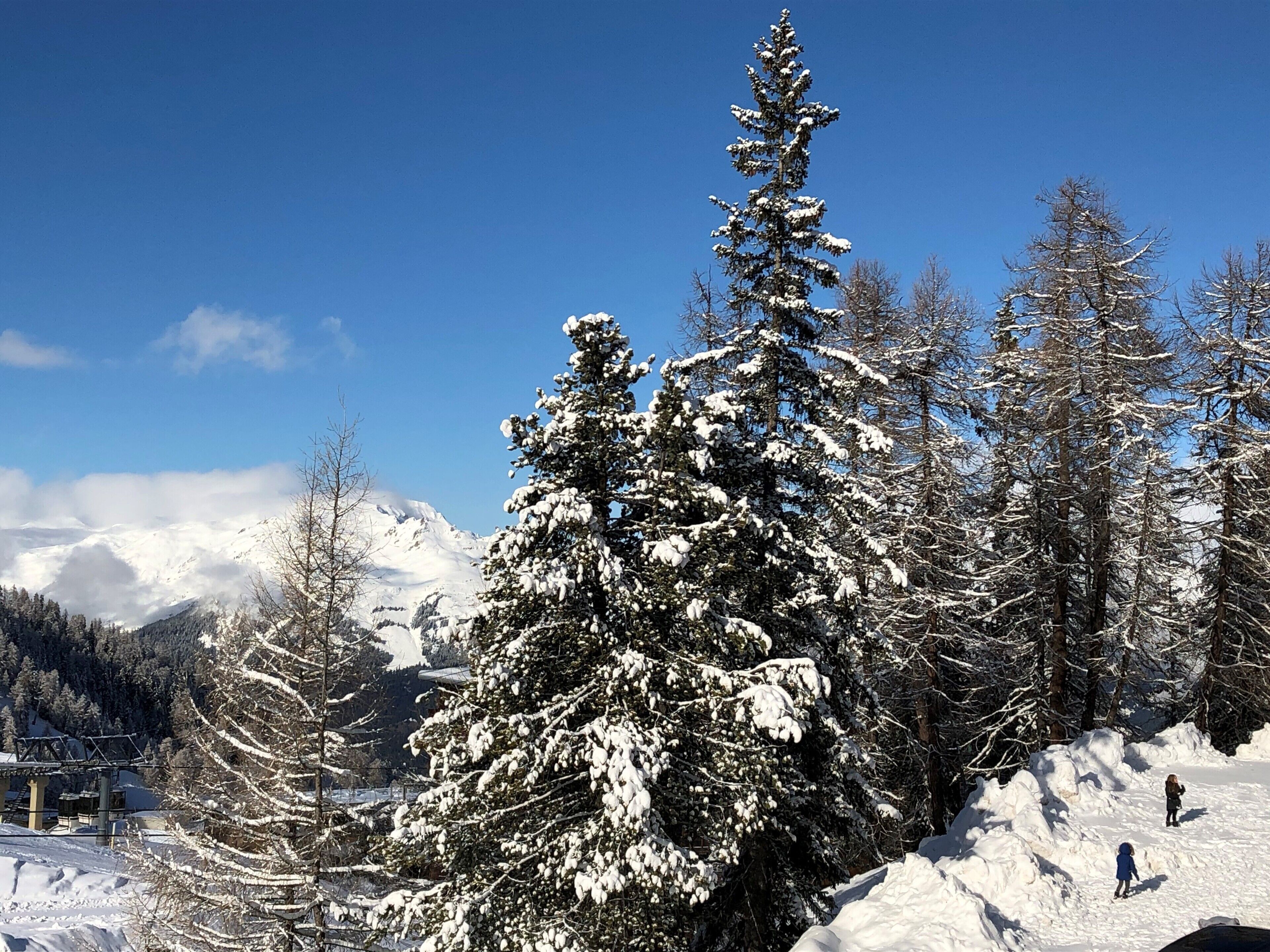 A snow-covered mountain landscape with a ski lift and trees.