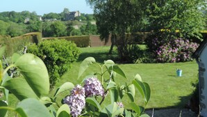 Een tuin met verschillende planten en bloemen, waaronder vlierbloesem en een boom met roze bloesems.