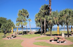 Relax in a serene outdoor seating area with breathtaking sea views, surrounded by palm trees and comfortable seating.
