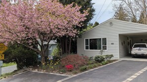 Property grounds - Perfect N. Seattle location, 2 bdrm, modern, clean, spacious, parking onsite (Seattle)