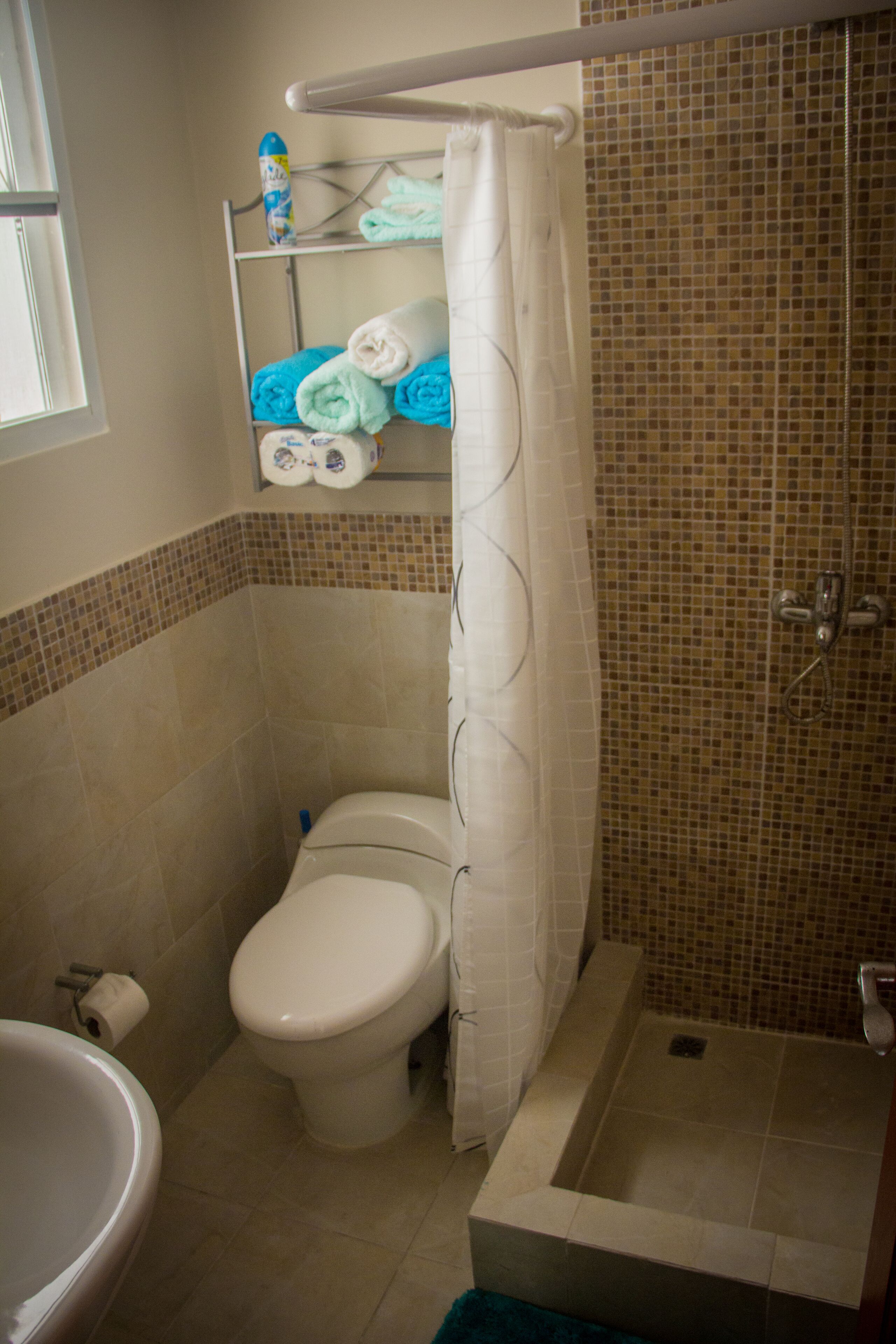 Baño con inodoro, ducha y bañera. Hay un perchero con toallas y una botella de champú.