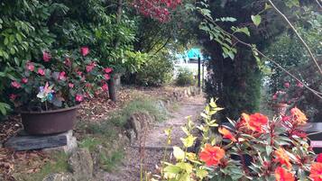 Terrein van de accommodatie