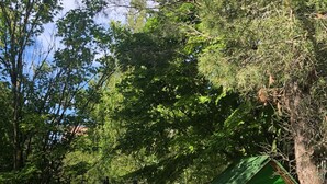 A playground with a wooden swing set, a slide, and a treehouse with a green roof. - COTTAGE IN THE HEART OF THE COUNTRY CATHAR (Fanjeaux)