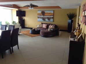 Flat-screen TV, DVD player, ping pong, books