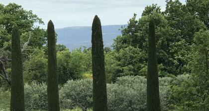 House under the oaks with a pool, peace, and serenity
