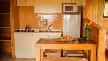 Fridge, microwave, stovetop, cookware/dishes/utensils