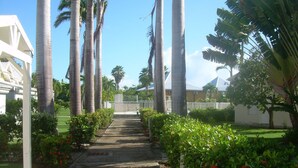 A pathway flanked by palm trees and red flowers leading to a building with a white facade. - Cause desistement Magnifique duplex jardin privatif, piscine et si dispo clio3 (Saint-François)
