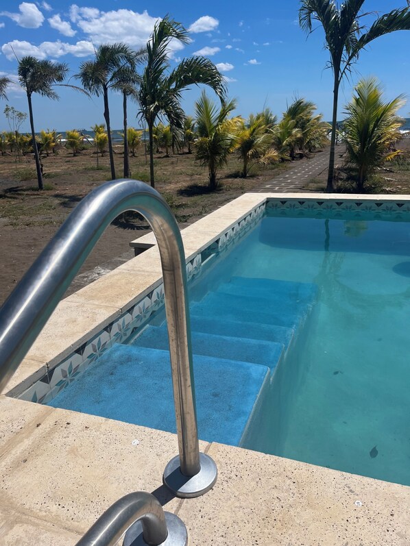 A swimming pool with a metal ladder, surrounded by palm trees and a clear sky.