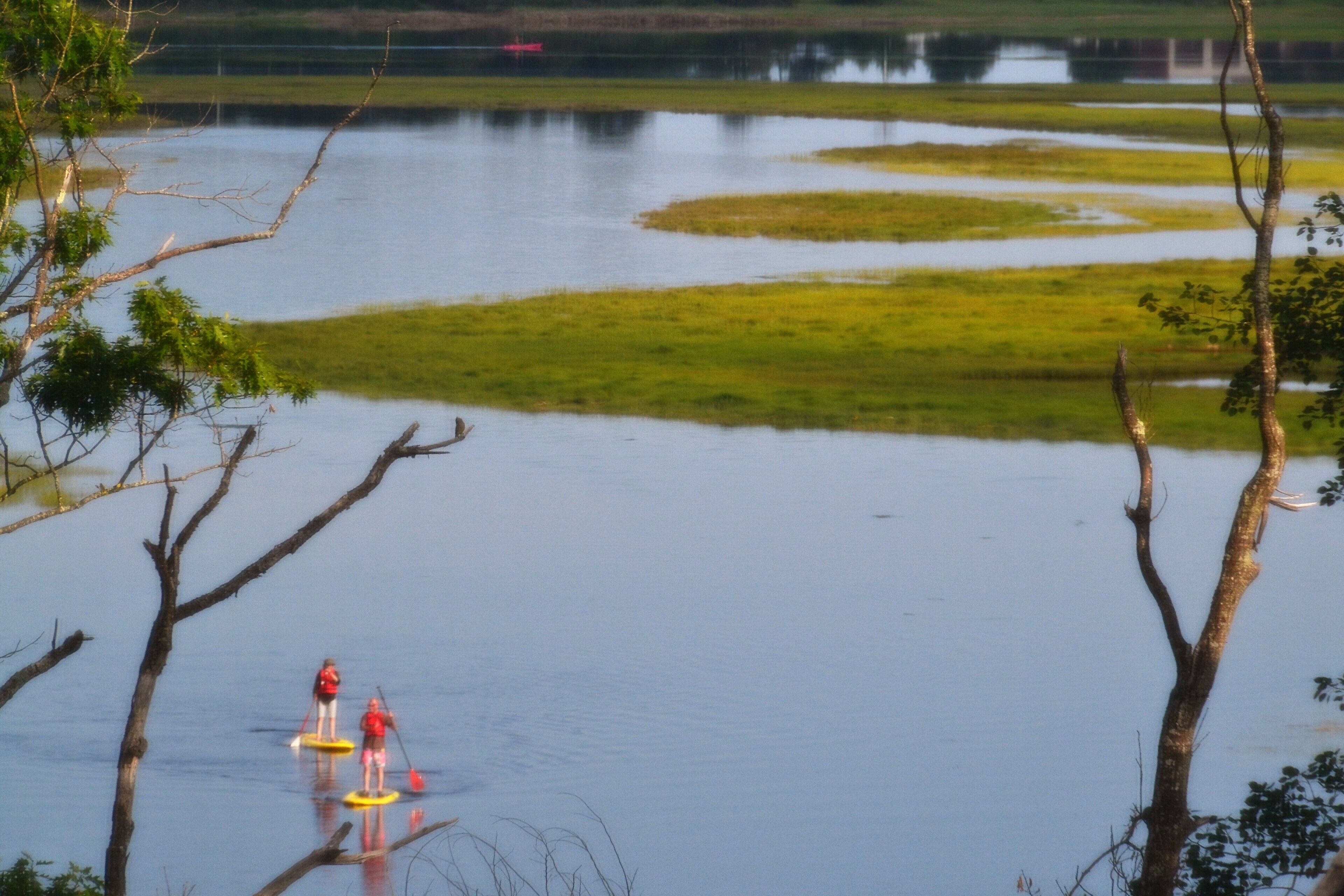 Paddle board next door