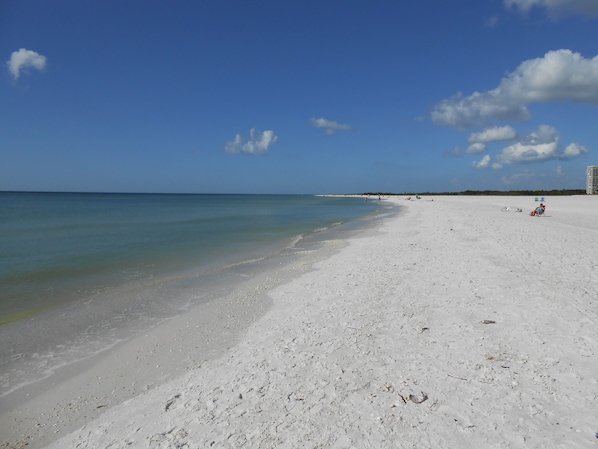 Camastros y toallas de playa