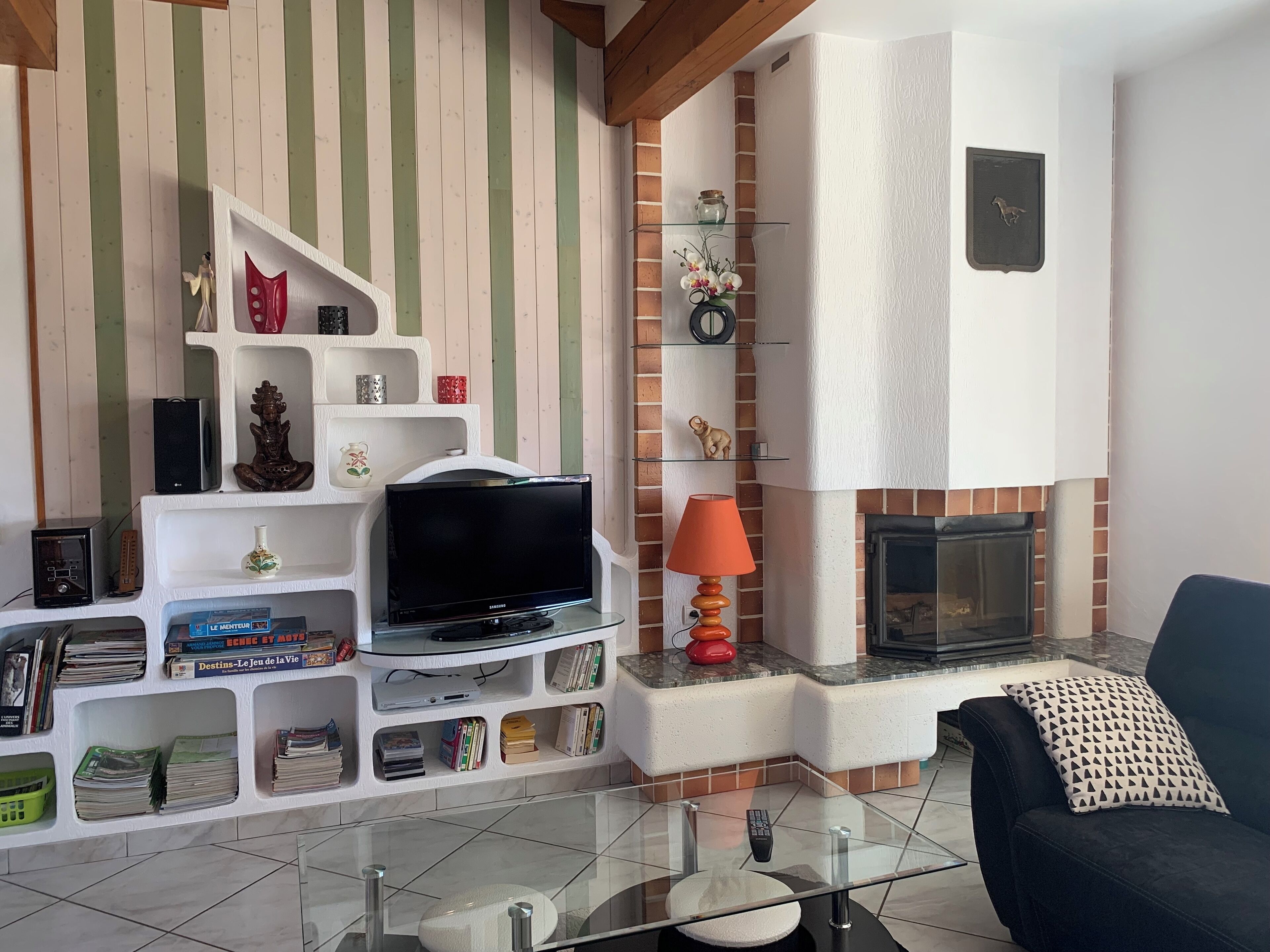 TV, fireplace, DVD player, books