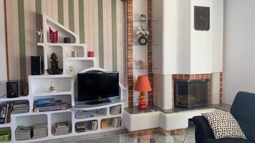 TV, fireplace, DVD player, books