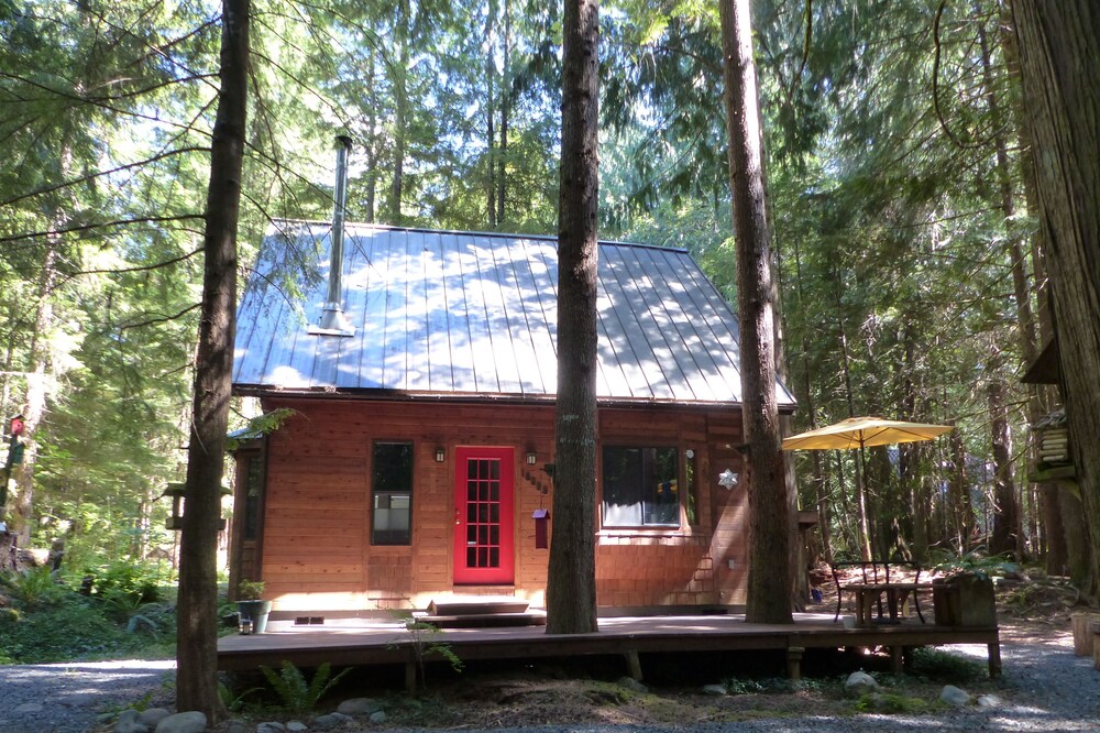 Replace the hustle and bustle of the city for the solitude of the forest!