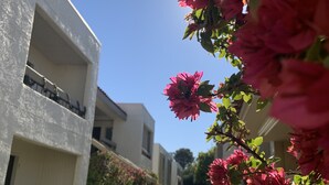 A pathway flanked by buildings with balconies and a garden with pink flowers. - Pet-Friendly Old Town Scottsdale! (Scottsdale)