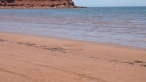Ein Strand mit sandigem Ufer und einem bewaldeten Felsen im Hintergrund.