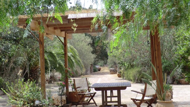 A wooden pergola with a table and chairs underneath, surrounded by potted plants and greenery. - Son Barbut XVII, Family-friendly (Porreres)