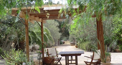 Poika Barbut XVII, perheystävällinen