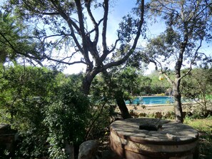 Property grounds - Son Barbut XVII, Family-friendly (Porreres)