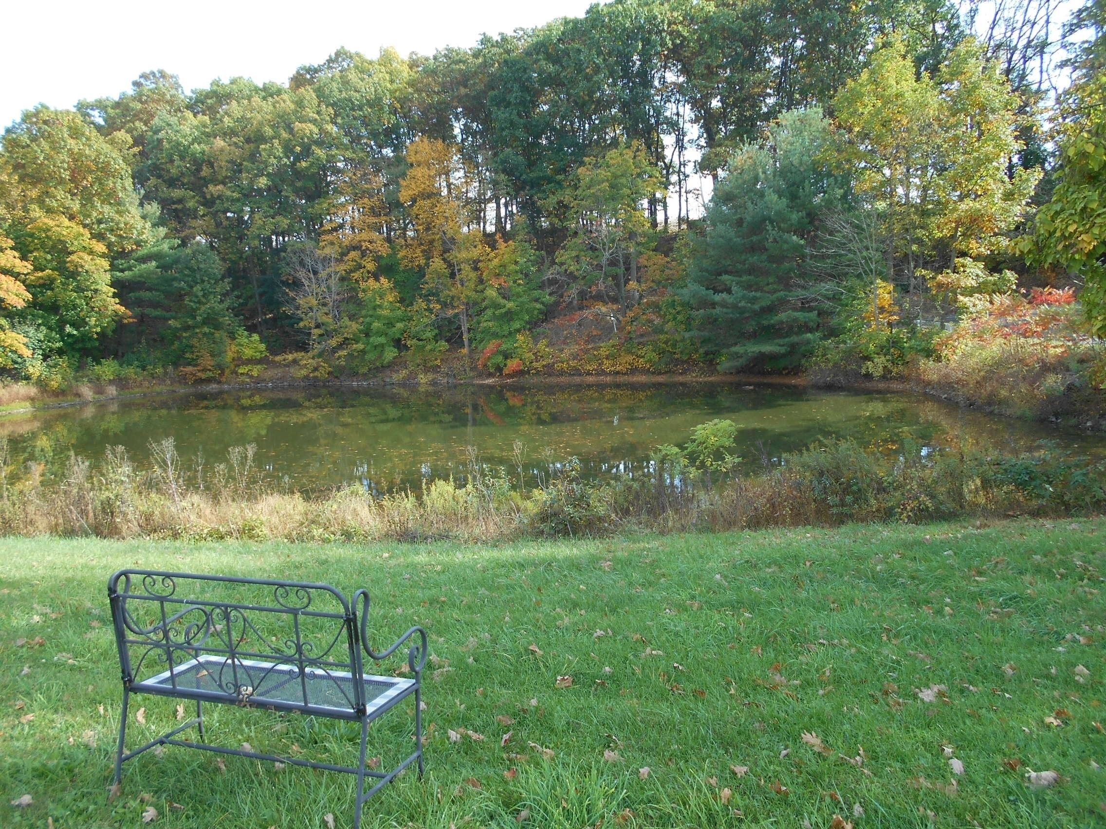 The pond invites you to slow down and sit a while.